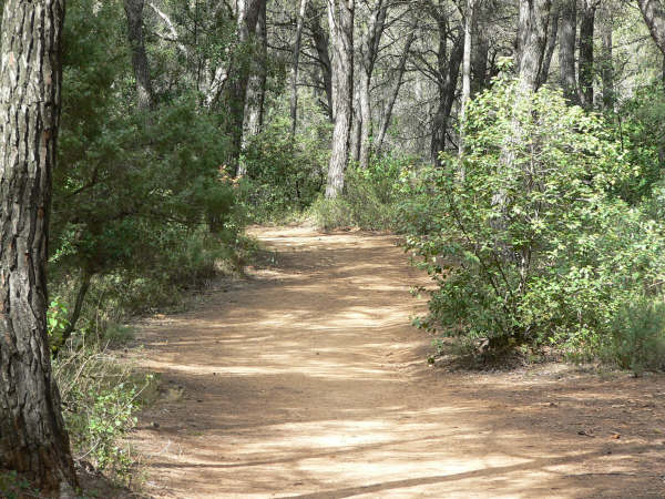 Chemin de Randonnée Sainte Victoire