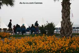 Cannes Borde de mer