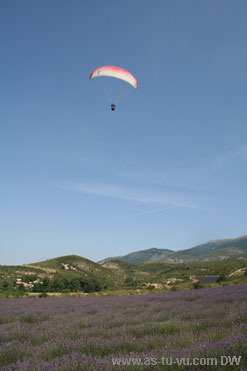 En Provence - Champ de lavande, vol a voile